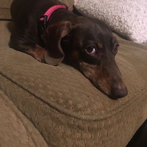 Meet your Posher, Melissa